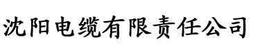 免费一级做人爱C视频电缆厂logo